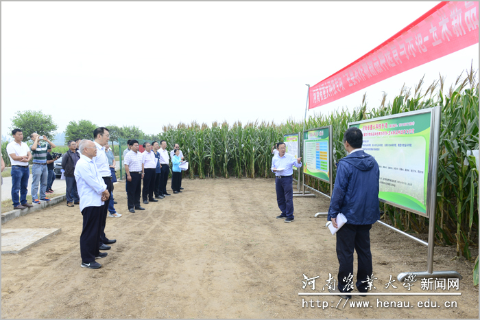 河南省重大科技专项——玉米新品种选育与示范项目现场观摩会 河南省重大科技专项——玉米新品种选育与示范项目现场观摩会