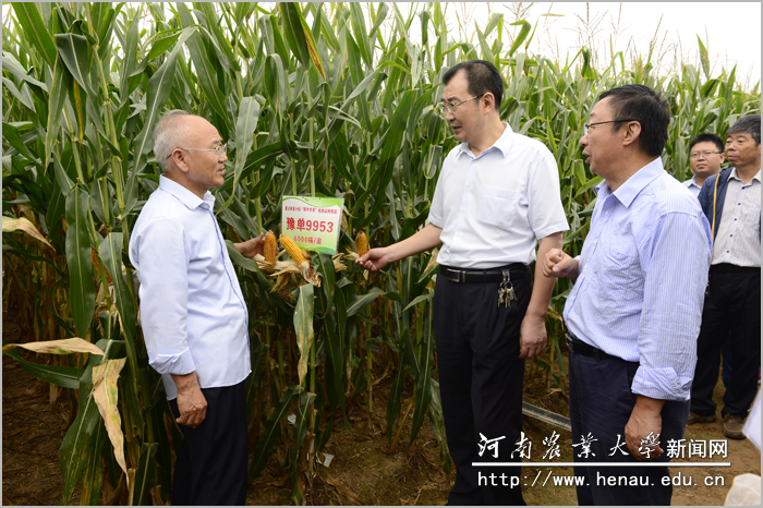 何守法、谭金芳一行查看项目组选育的玉米新品种 何守法、谭金芳一行查看项目组选育的玉米新品种